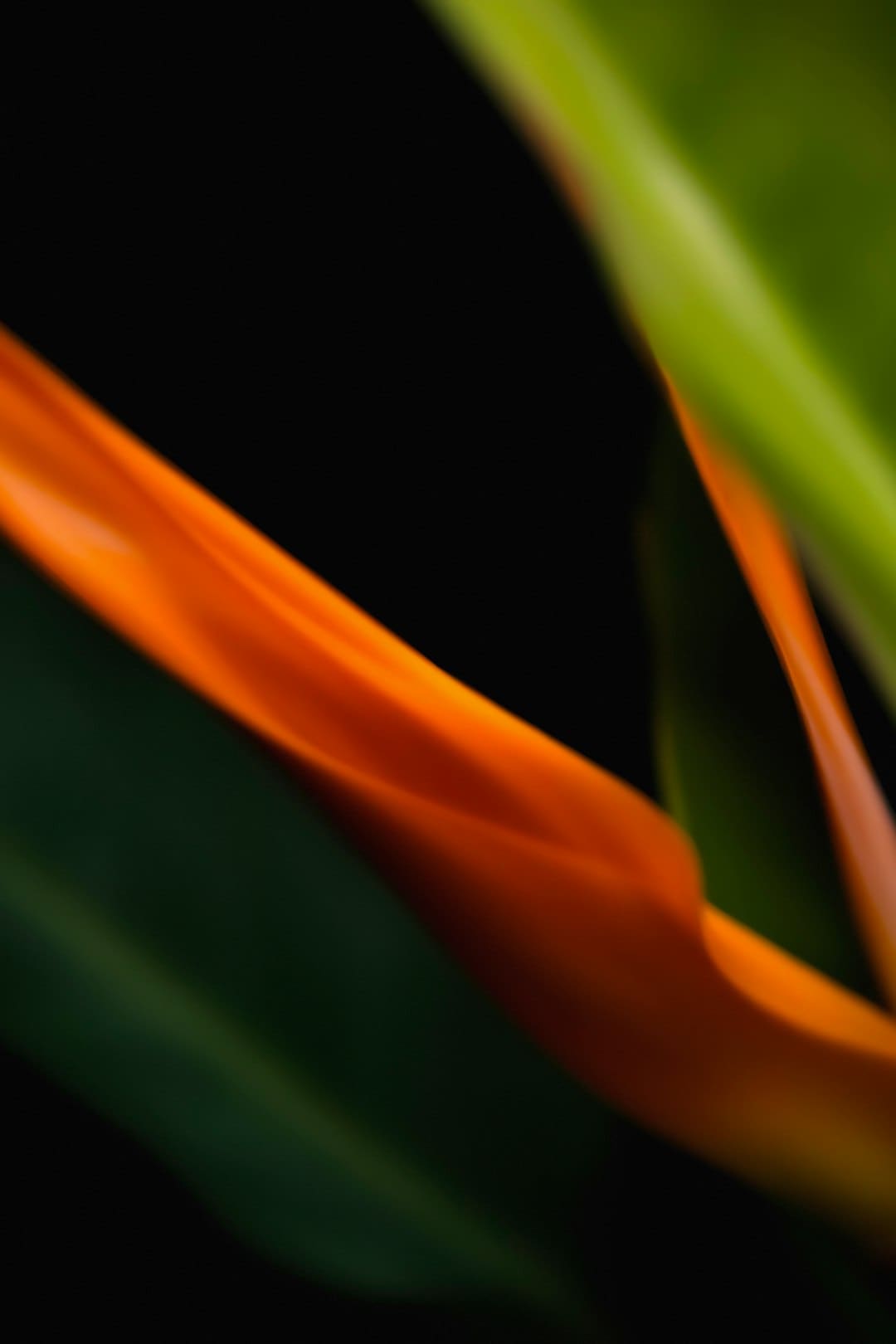 http://n.sinaimg.cn/news/transform/200/w600h400/20180315/nXxC-fyshfup8875421.jpg?zdy
